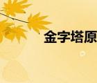 金字塔原理圖片（金字塔原理）