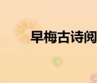 早梅古詩閱讀答案（早梅閱讀答案）