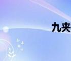 九夾板規(guī)格（九夾板）