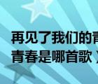再見了我們的青春啊是哪一首歌（再見了我的青春是哪首歌）
