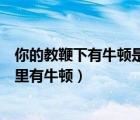 你的教鞭下有牛頓是什么意思（你的教鞭下有瓦特你的冷眼里有牛頓）