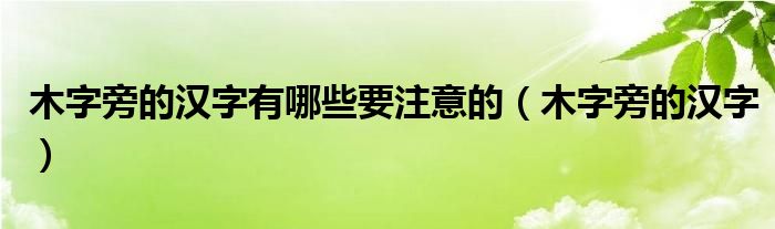 木字旁的漢字有哪些要注意的（木字旁的漢字）
