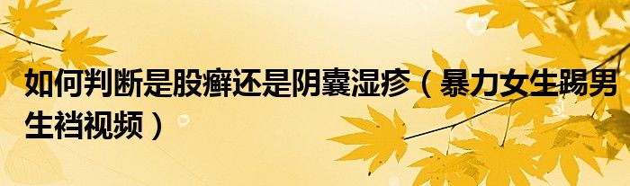 如何判斷是股癬還是陰囊濕疹（暴力女生踢男生襠視頻）