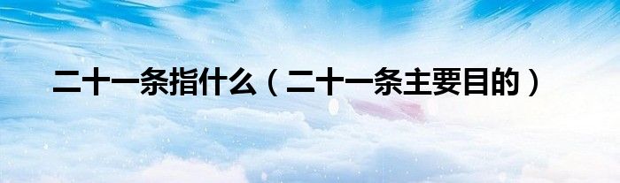 二十一條指什么（二十一條主要目的）