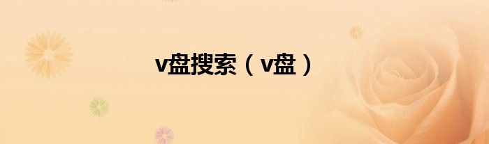 v盤搜索（v盤）