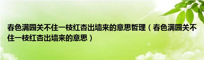 春色滿園關不住一枝紅杏出墻來的意思哲理（春色滿園關不住一枝紅杏出墻來的意思）