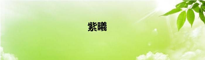 紫曦