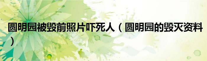 圓明園被毀前照片嚇?biāo)廊耍▓A明園的毀滅資料）