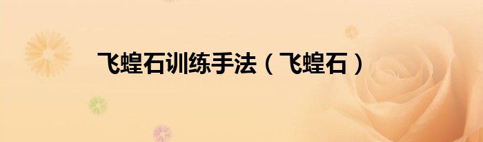 飛蝗石訓(xùn)練手法（飛蝗石）