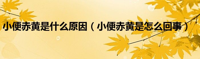 小便赤黃是什么原因（小便赤黃是怎么回事）