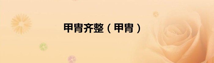 甲胄齊整（甲胄）