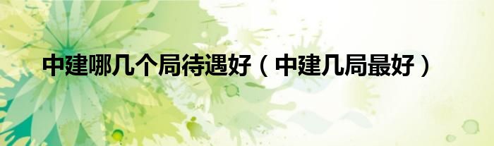 中建哪幾個(gè)局待遇好（中建幾局最好）