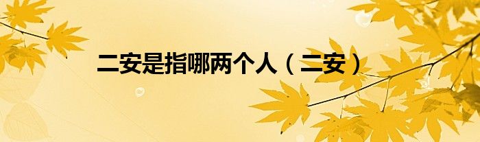 二安是指哪兩個人（二安）