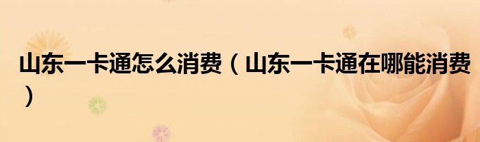山東一卡通怎么消費(fèi)（山東一卡通在哪能消費(fèi)）
