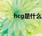 hcg是什么意思（木枷是什么意思）