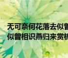 無可奈何花落去似曾相識燕歸來賞析書法（無可奈何花落去似曾相識燕歸來賞析）