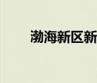 渤海新區(qū)新聞網(wǎng)（環(huán)渤海新聞網(wǎng)網(wǎng)）