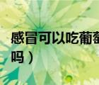 感冒可以吃葡萄嗎咳嗽有痰（感冒可以吃葡萄嗎）