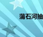 蒲石河抽水蓄能電站（蒲石河）