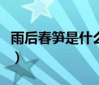 雨后春筍是什么意思?。ㄓ旰蟠汗S是什么意思）