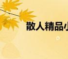 散人精品小極品（精品中的極品）