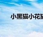 小黑貓小花貓（小黑花花解救小貓咪）
