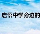 啟悟中學(xué)旁邊的補(bǔ)習(xí)機(jī)構(gòu)有哪些（啟悟中學(xué)）