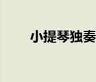 小提琴獨(dú)奏曲回憶（小提琴獨(dú)奏曲）