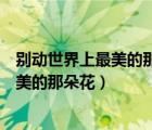別動(dòng)世界上最美的那朵花閱讀第八段的作用（別動(dòng)世界上最美的那朵花）