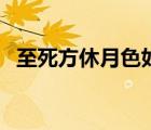 至死方休月色如墨車在哪里看（至死方休）
