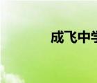 成飛中學(xué)高中部（成飛中學(xué)）