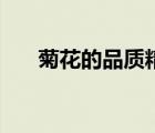 菊花的品質(zhì)精神是什么（菊花的品質(zhì)）