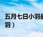 五月七日小羽最后和誰在一起了（五月七日小羽）
