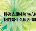 肺炎支原體igm抗體是陽(yáng)性怎么回事（肺炎支原體抗體igm陽(yáng)性是什么原因造成的）