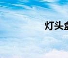 燈頭盒怎么算（燈頭盒）