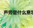 聲旁是什么意思（星的形旁和聲旁是什么）