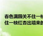 春色滿園關(guān)不住一枝紅杏出墻來的意思哲理（春色滿園關(guān)不住一枝紅杏出墻來的意思）