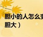 膽小的人怎么變膽大去賺錢（膽小的人怎么變膽大）