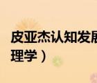 皮亞杰認(rèn)知發(fā)展四階段及特點(diǎn)（皮亞杰兒童心理學(xué)）