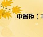 中置柜（中置柜和環(huán)網(wǎng)柜的區(qū)別）