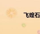 飛蝗石訓(xùn)練手法（飛蝗石）