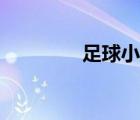 足球小說(shuō)全集（足球小說(shuō)）