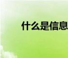 什么是信息學(xué)素養(yǎng)（什么是信息學(xué)）