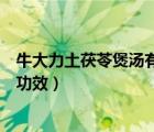 牛大力土茯苓煲湯有什么功效（牛大力煲土茯苓骨頭有什么功效）