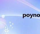 poyno美國（poyno日本）