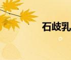 石歧乳鴿介紹（石歧乳鴿）