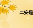 二安是指哪兩個人（二安）