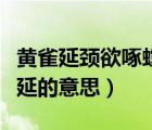 黃雀延頸欲啄螳螂言的意思（黃雀延頸欲蟬螂延的意思）