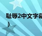 恥辱2中文字幕怎么調(diào)（外掛中文字幕怎么用）