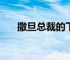 撒旦總裁的下堂妻（撒旦總裁的誘惑）